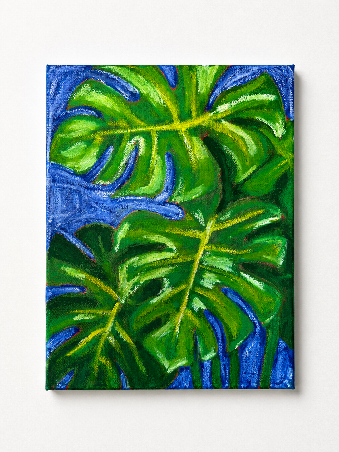 Blue Monstera