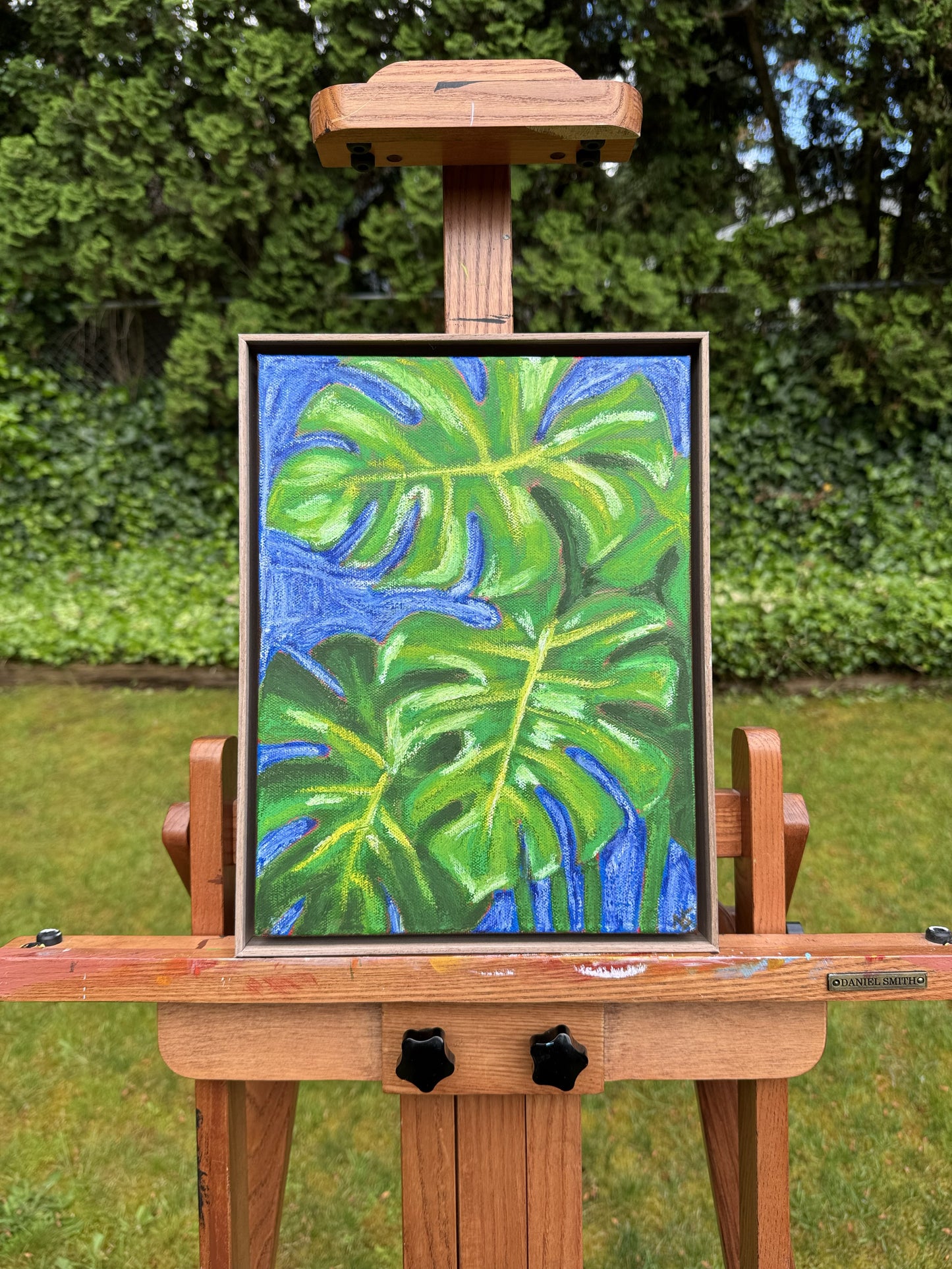 Blue Monstera